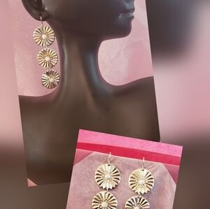 Elegant Silver Dangle Earrings